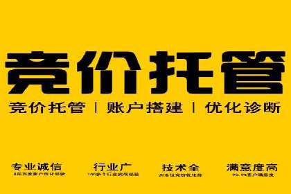 竞价开户推广成功案例解析